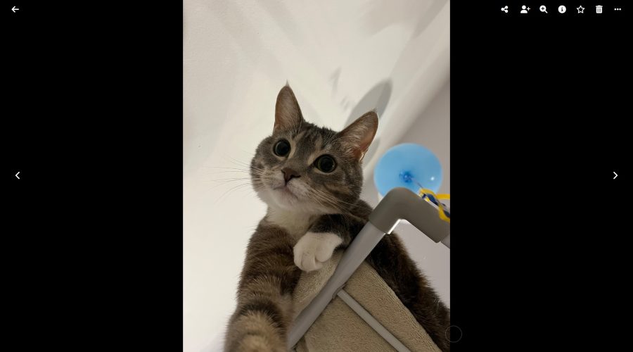 Megatech photos